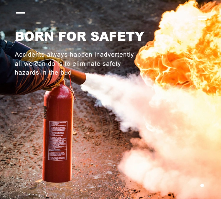 Factory Best Price Pri-Safety Wholesale Portable ABC Dry Powder Fire Extinguisher for Sale/Empty Fier Extinguisher Cylinder